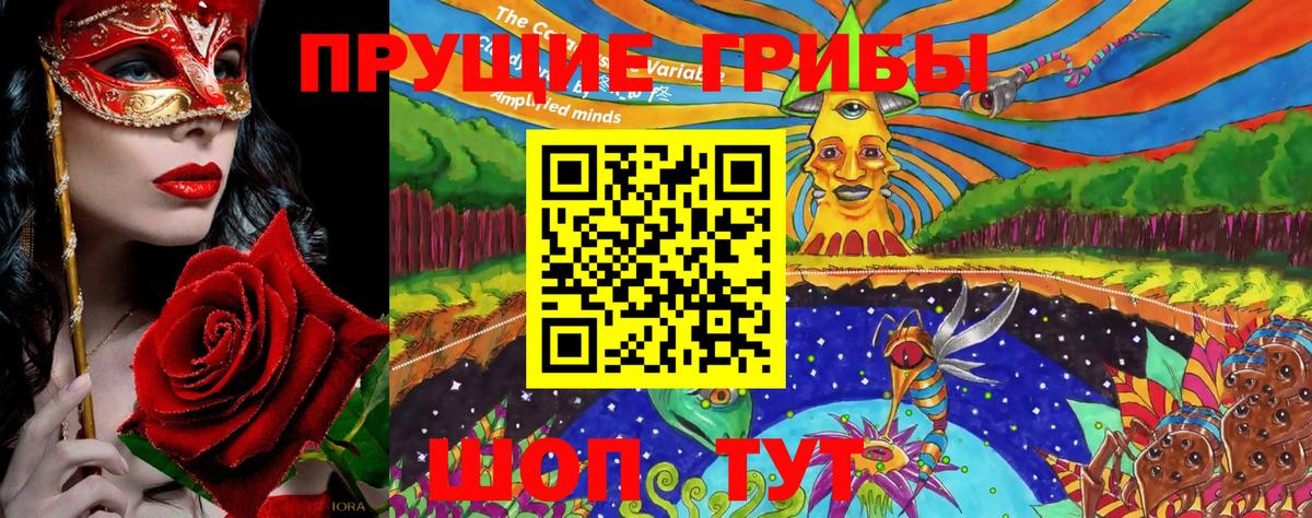 Галлюциногенные грибы мицелий  Вход с VPN  Дальнереченск 